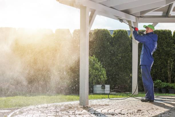 Best Sidewalk and Walkway Cleaning  in Fishers, IN