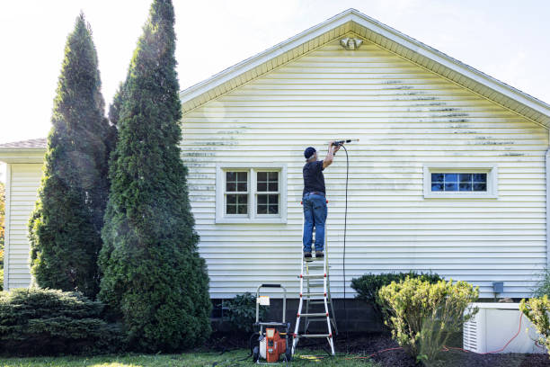 Best Roof Washing  in Fishers, IN